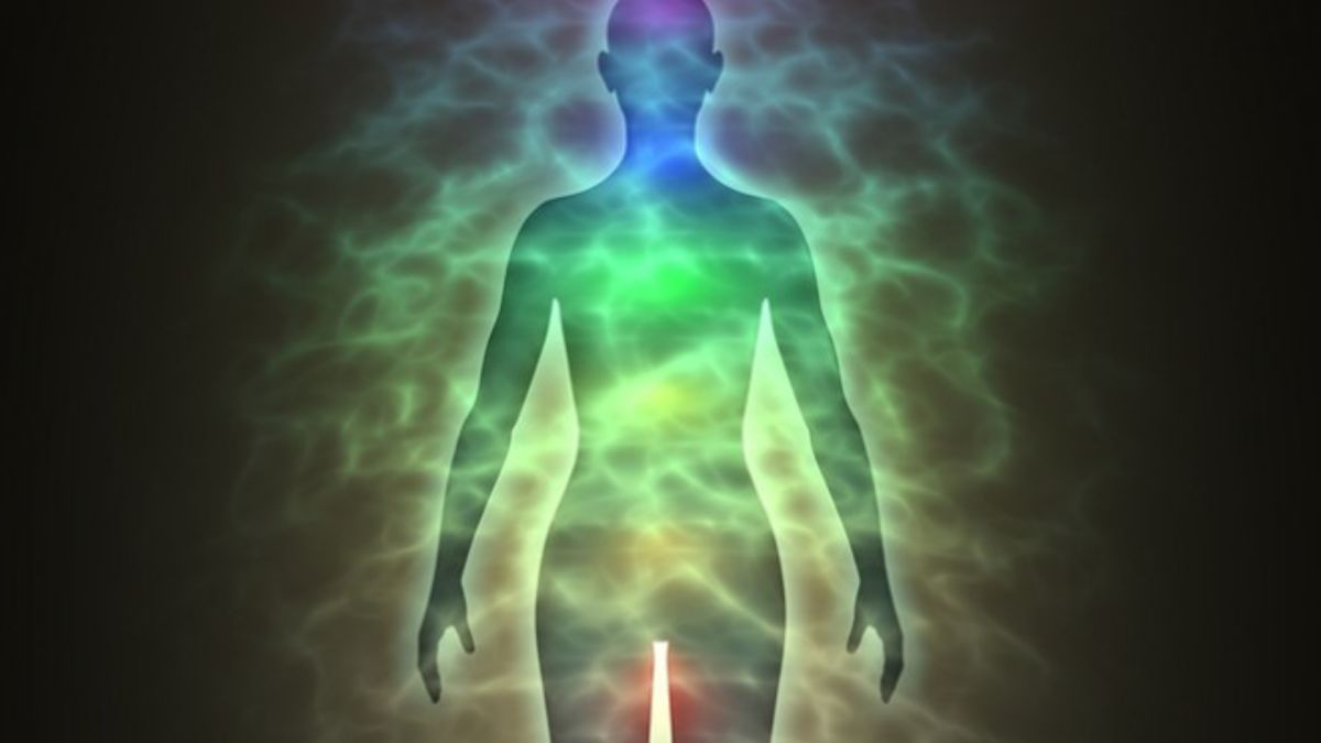 Energy Protection – New Forest Mystic