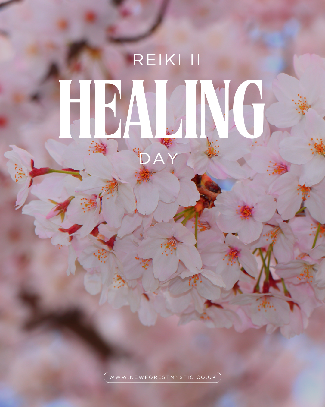 1-2-1 Reiki Level II Training Day